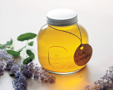 Wildcrafted Lilac Vinegar Image